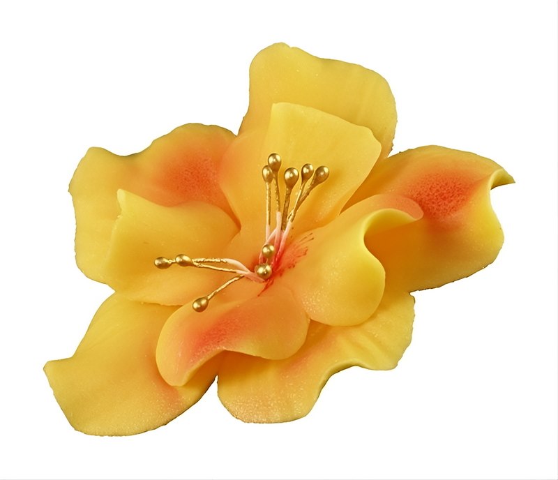 Magnolia 04 Pale Yellow 9.5 cm 8 pc