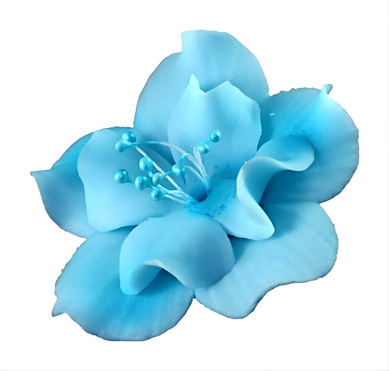 Magnolia 04 Blue 9.5 cm (8)