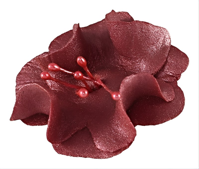 Magnolia 04m Burgundy 5.5 cm 10 pc