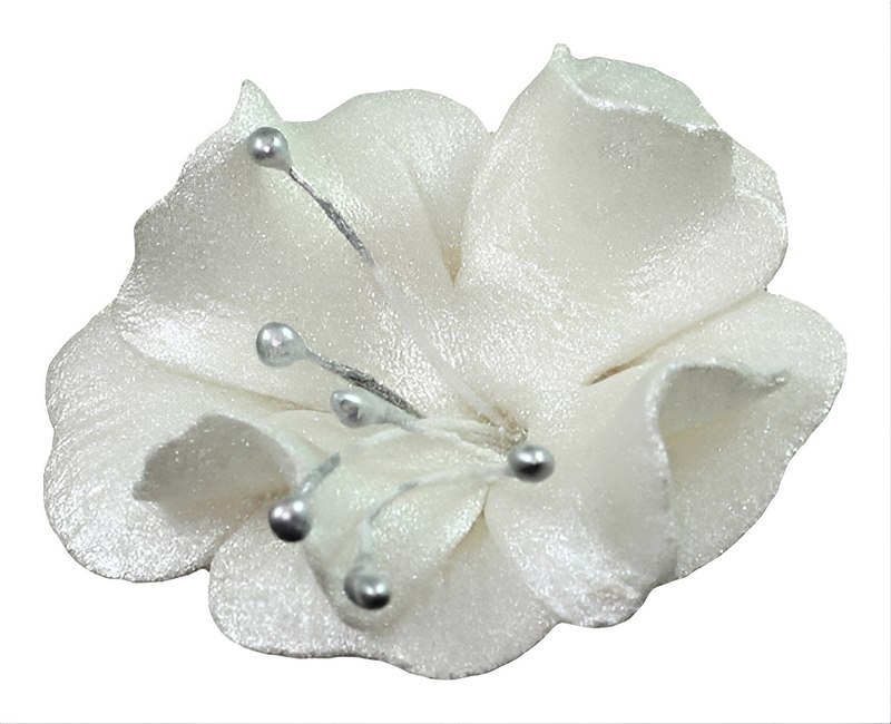 Magnolia 04m Pearl 5.5 cm 10 pc