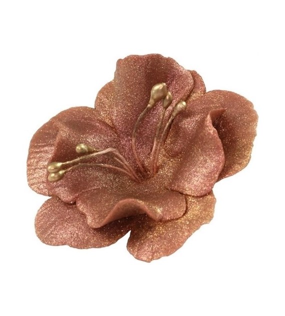 Magnolia 04m Copper 5.5 cm (10)