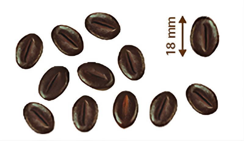 Toppings Choc Coffee Beans 18 mm 1.1 kg