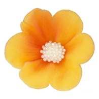 Mercedes 010 Honey 4 cm 20 pc