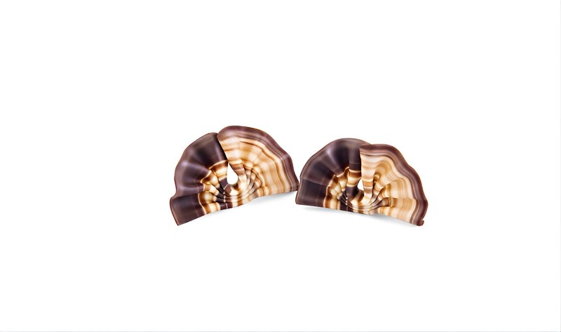 Choc. Decor. Fan marble 30x50 mm (333 pc)