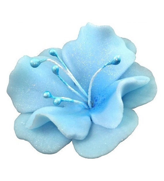 Magnolia 04m Blue 5.5 cm 10 pc