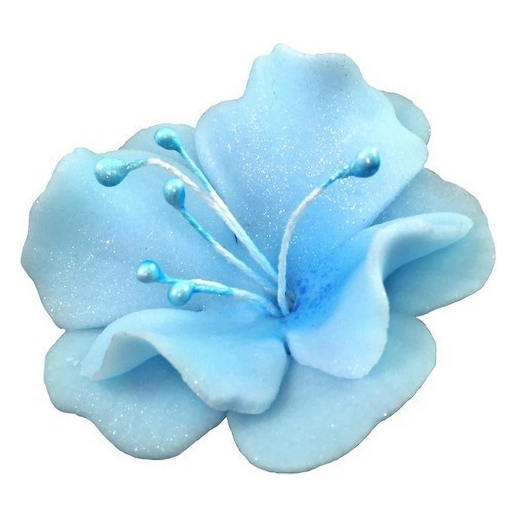 Magnolia 04m Blue 5.5 cm 10 pc