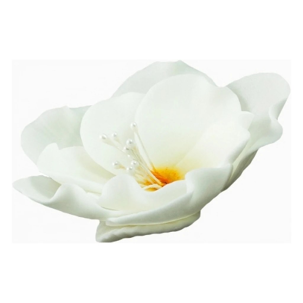 Eustoma Small 013m White 8 cm 3 pc