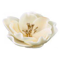 Eustoma Small 013m Ecru 8 cm 3 pc