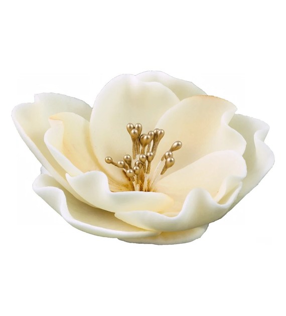 Eustoma Small 013m Ecru 8 cm 3 pc