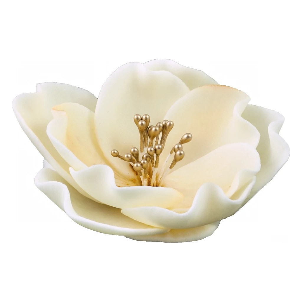 Eustoma Small 013m Ecru 8 cm 3 pc