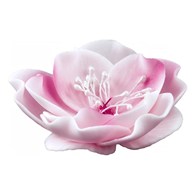 Eustoma Small 013m Pink 8 cm 3 pc