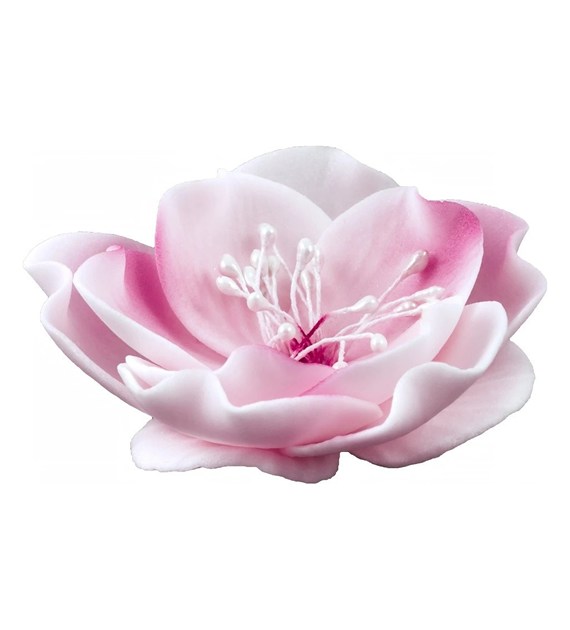 Eustoma Small 013m Pink 8 cm 3 pc