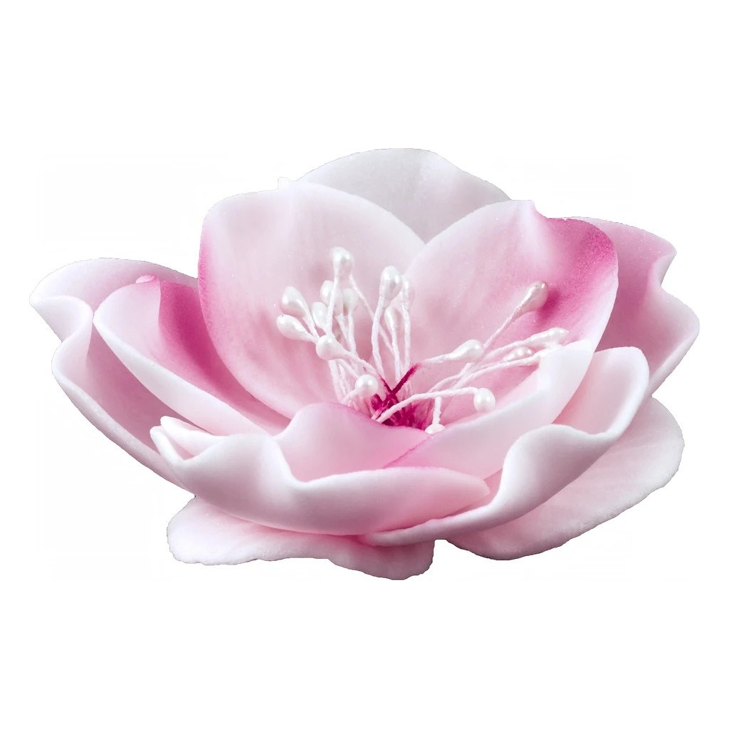 Eustoma Small 013m Pink 8 cm 3 pc