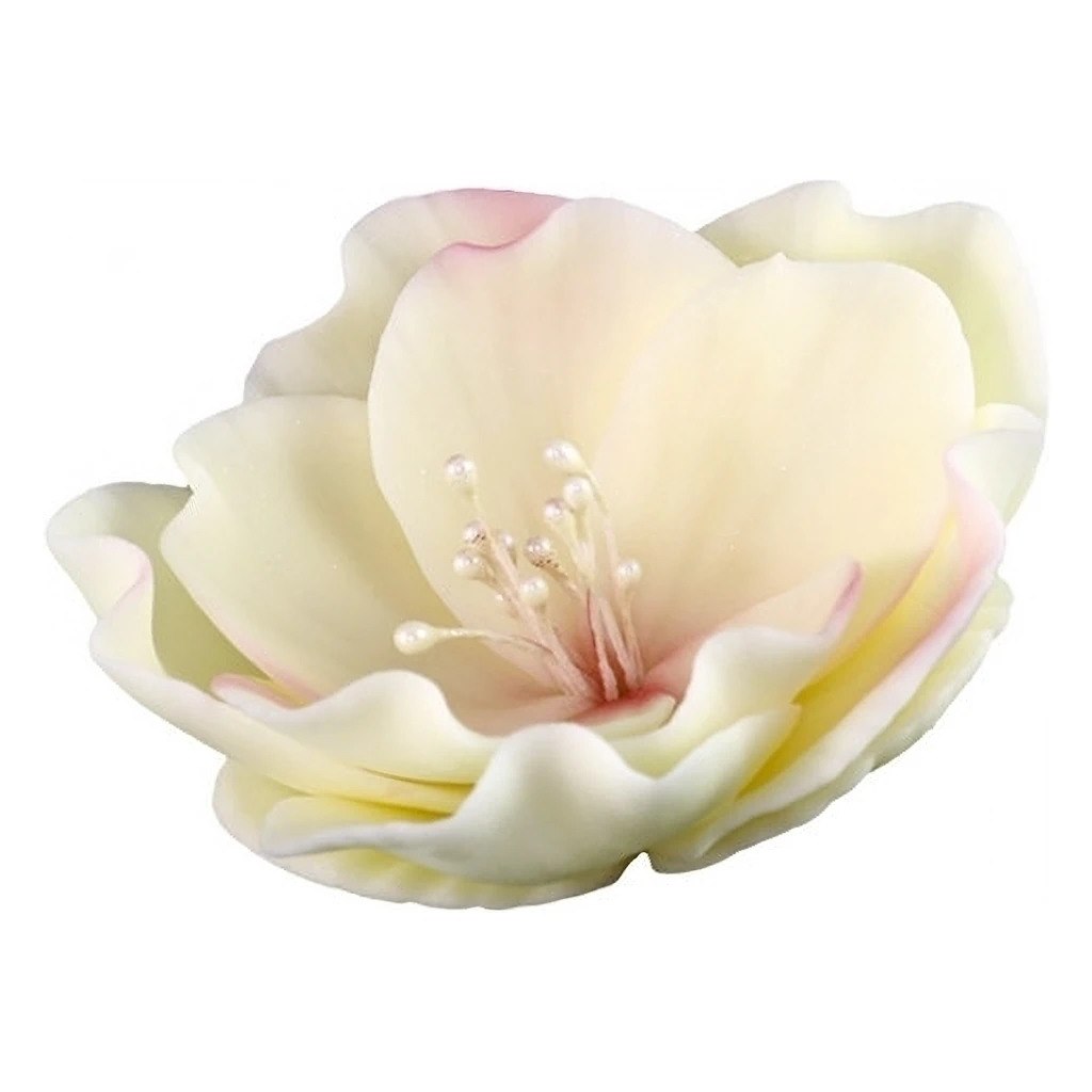 Eustoma Small 013m Ecru/Pink 8 cm 3 pc