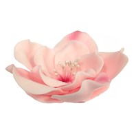 Eustoma 013 Pink 11 cm