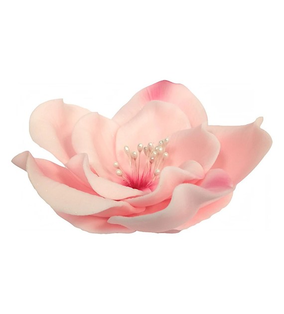 Eustoma 013 Pink 11 cm