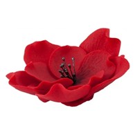 Eustoma 013 Red 11 cm