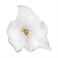 Orchid 053 White 6 cm 10 pc