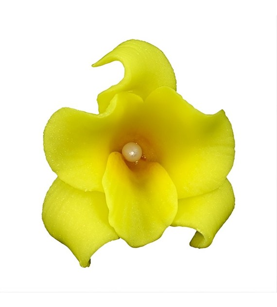 Orchid 053 Honey 6 cm (10 pc)