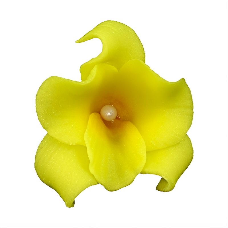 Orchid 053 Honey 6 cm (10 pc)