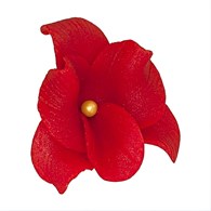 Orchid 053 Red 6 cm (10 pc)