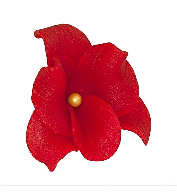 Orchid 053 Red 6 cm (10 pc)