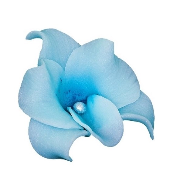 Orchid 053 Blue 6 cm (10)