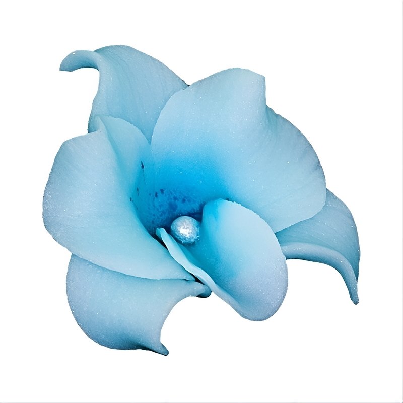 Orchid 053 Blue 6 cm (10 pc)