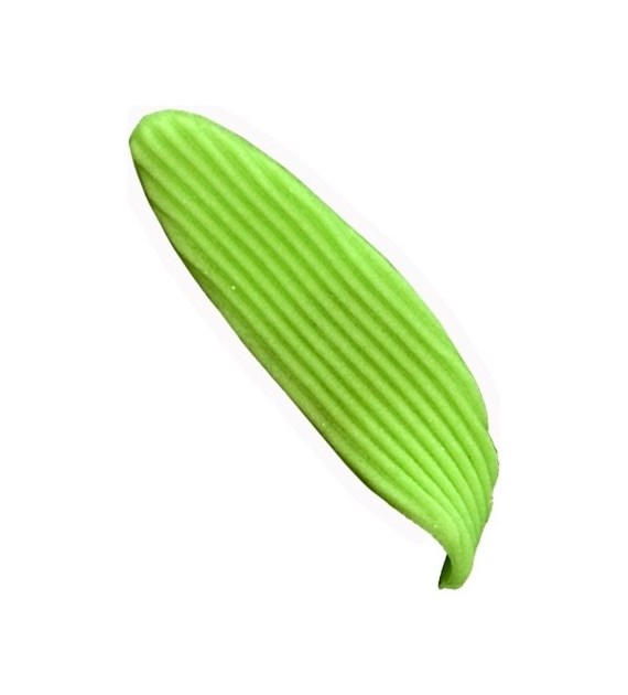 Leaves Oblong 016d Lime 6 cm (100)