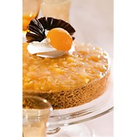 Frutafill Apricot Filling 70% 6 kg