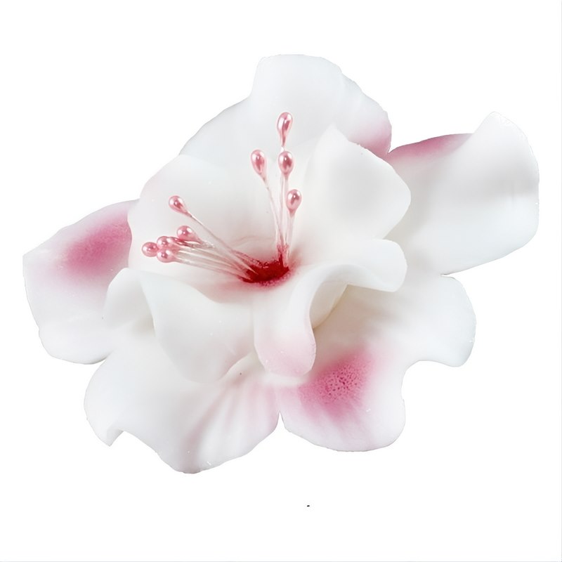 Magnolia 04 White/Pink 9.5 cm (8 pc)