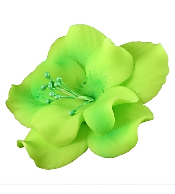 Magnolia 04 Lime 9.5 cm (8 pc)