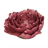 Peony 05 Burgundy 10 cm