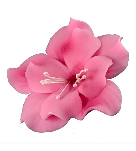 Magnolia 04m Dark Pink 5.5 cm (10 pc)