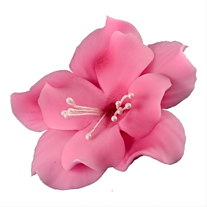 Magnolia 04m Dark Pink 5.5 cm (10 pc)